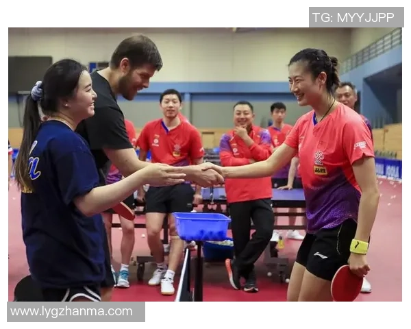 杭州乒乓球队配合策略深度解析与其他球队的对比分析