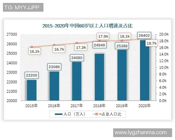 武汉羽毛球队实力分析与发展前景的深度探讨与展望